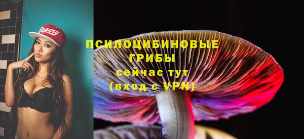 амфетамин Алексеевка