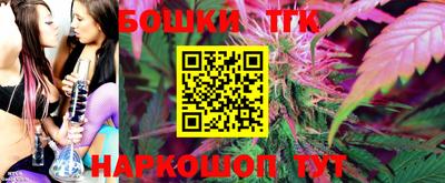 СК Дубна