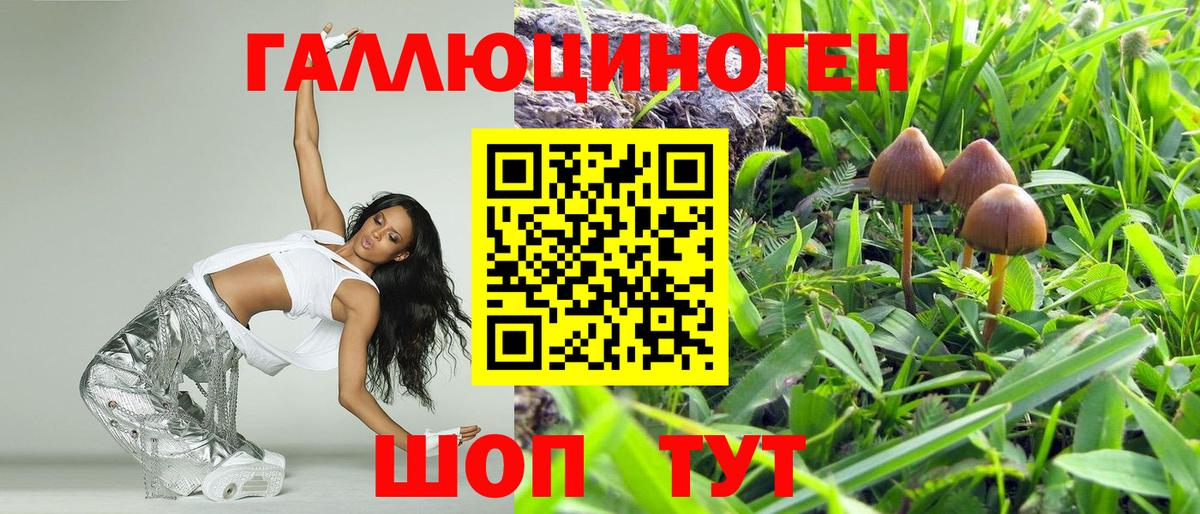 Галлюциногенные грибы GOLDEN TEACHER  Вход с VPN  Кулебаки 